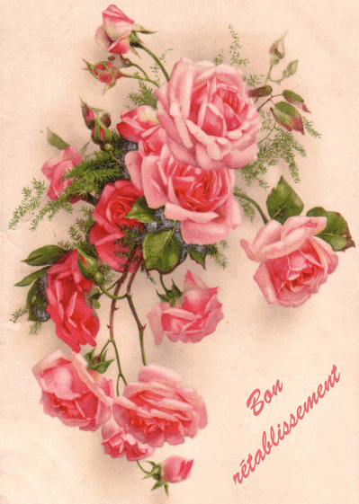 Carte Bon Rétablissement Bouquet Ancienne : Envoyer une 
